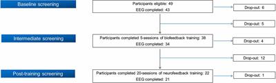 Does combined training of biofeedback and neurofeedback affect smoking status, behavior, and longitudinal brain plasticity?